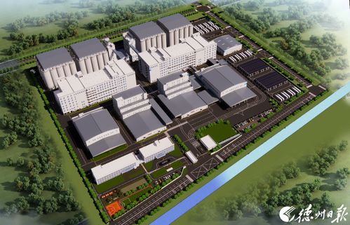 技術引領未來 德州陵城區技術開發與技術轉讓的探索與實踐